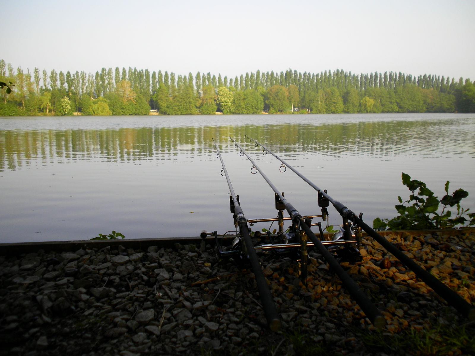 Adunate! - s11211.jpg